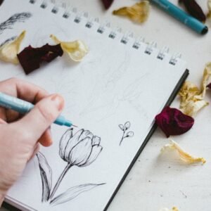 Art & Drawing Supplies